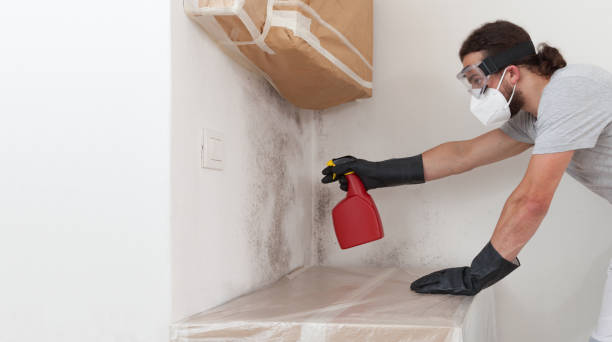 Professional Mold Remediation technician working in Lorenz Park, NY